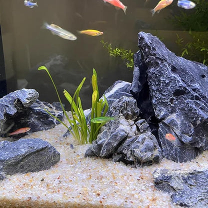 FANTIAN 10 lbs Aquarium Silica Sand. Decorative Mini Aquarium Gravel Substrate for Fish Tank, Plants Potted, Fire Pits, Candle, Vase Filler and Crafts