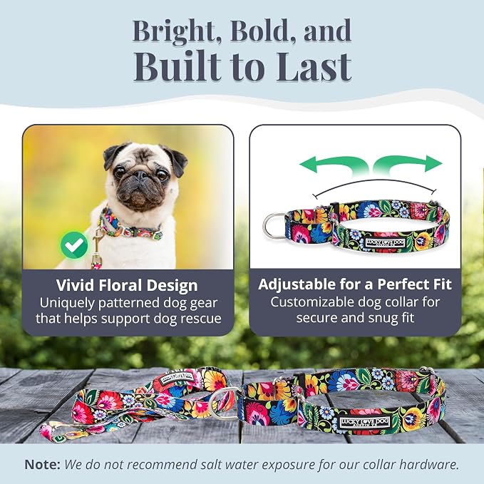 Lucky Love Dog Martingale Collar and Leash Set, Premium No Slip Collar and Leash Set, Great for Whippets, Greyhounds, and More (Blackbird, Small - Combo)