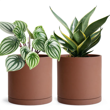 D'vine Dev 6 Inch Rust Terracotta Plant Pot with Drainage Hole and Saucer, Round Cylinder Planter Pot for Indoor Plants, Set of 2, 40-V-C-2