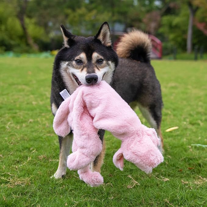 Best Pet Supplies Squeaky Dog Toys with Soft Durable Fabric for Small, Medium and Large Pets Interactive Toy for Indoor Play, Supports Active Biting and Play - Pig, Small