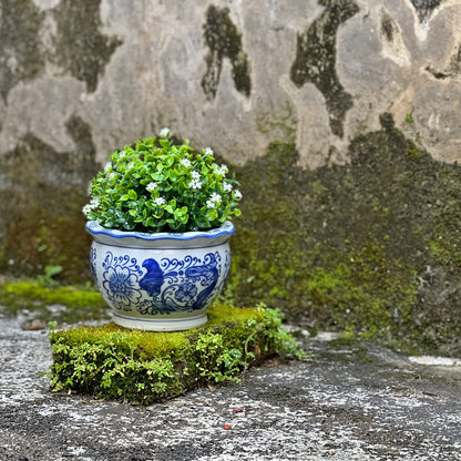 HakkaGirl Blue and White Planters, Succulent Pots Ceramic Plant Pots Indoor with Drainage for Home Décor - Set of 3