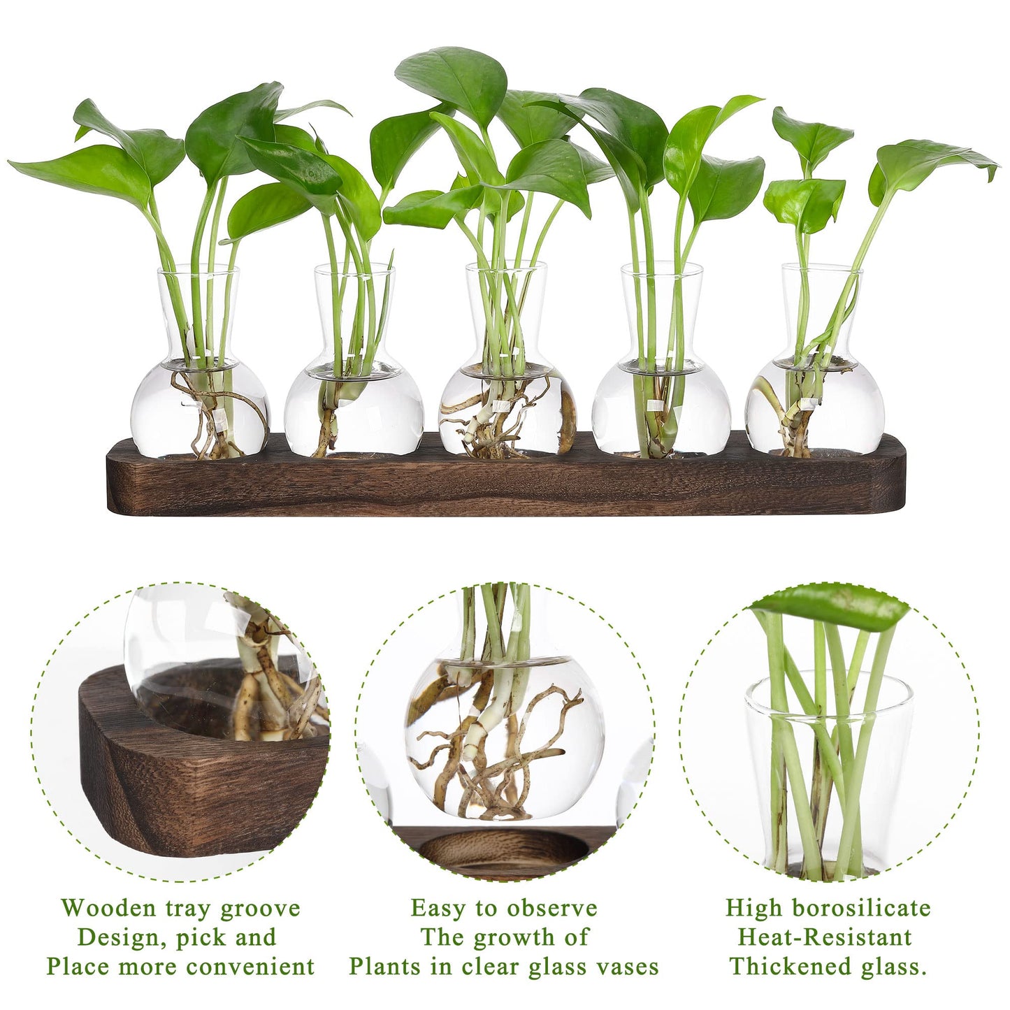 YIBOT Propagation Vases for Plants Terrarium with Wooden Tray,5 Glass Vases