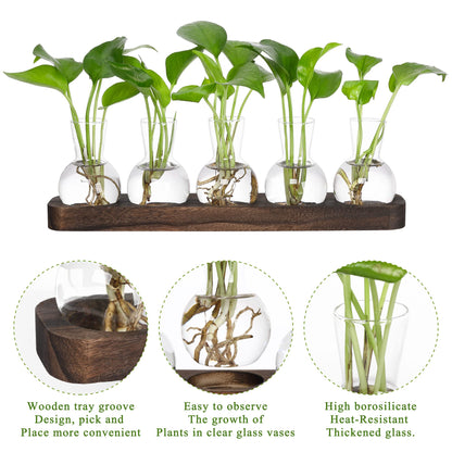 YIBOT Propagation Vases for Plants Terrarium with Wooden Tray,5 Glass Vases