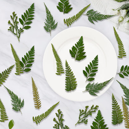 80 Pcs Green Ferns Dried Pressed Flowers Bulk for Crafts, Natural Leaves Greenery for Resin Art, Candle Making, DIY Decoration, Floral Supplies