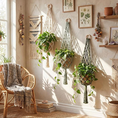 Sieral 3 Pack Hanging Fruit Baskets