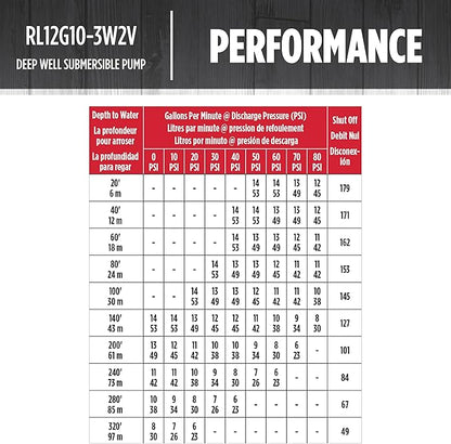 Red Lion RL12G10-3W2V 4-inch Submersible Deep Well Pump with Control Box, 1 HP, 12 GPM, 3-Wire, 230 Volt, Steel, 14942407