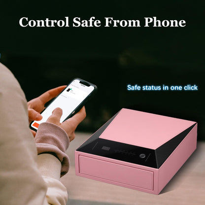XPEDITION Biometric Fingerprint Jewelry Safe for Home Quick-Access Fingerprint Lock & Digital Keypad for Home Security Slide-Away Drawer Safe