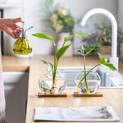 wangsdjy Glass Planter Propagation Station with Wooden Base - Clear Oblate Hydroponic Vase, Decorative Desktop Flower Vase for Home, Office, Windowsill - Gift for Plant Lovers (4)