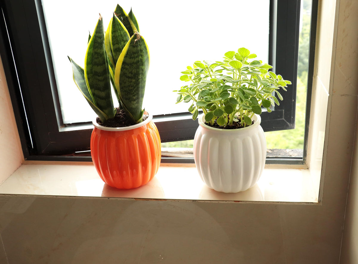 Cornasee 4" Pumpkin Planter Self Watering Pot for Halloween Decor, 4-Pack Small Plastic Planters for Indoor Plants,Flowers,Succulent,African Violets (Orange, 4")