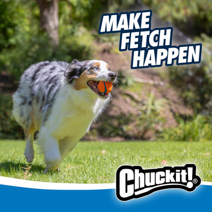 Chuckit! Dog Balls - Interactive Dog Toys, High-Bounce Fetch Ball, Floating Ultra and Rugged Balls, Durable - Size Medium, 2.5-inch Diameter, Set of 3