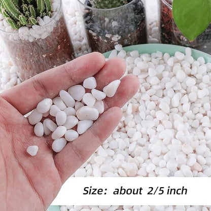 CJGQ 7lb 1/4" Small White Rocks for Plants,Potting,Succulents Aquarium Fish Tank Garden Vases Decorative Pebbles Gravel Rocks Stones