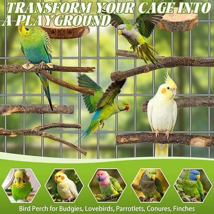 8 PCS Bird Perch Set for Cage - Natural Apple Wood Platforms & Hardwood Branches for Parakeets, Budgies, Cockatiels - Small Bird Habitat Gym, Climbing Stand & Safe Chew Toys