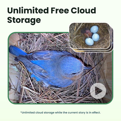 Birdfy Bird House with Camera Solar Powered with Iron Guard for Outside, AI Identify, 1080P HD & Night Vision for Bluebird Finch Swallow Wren Chickadee Nesting Watching, Auto Detect & Notify