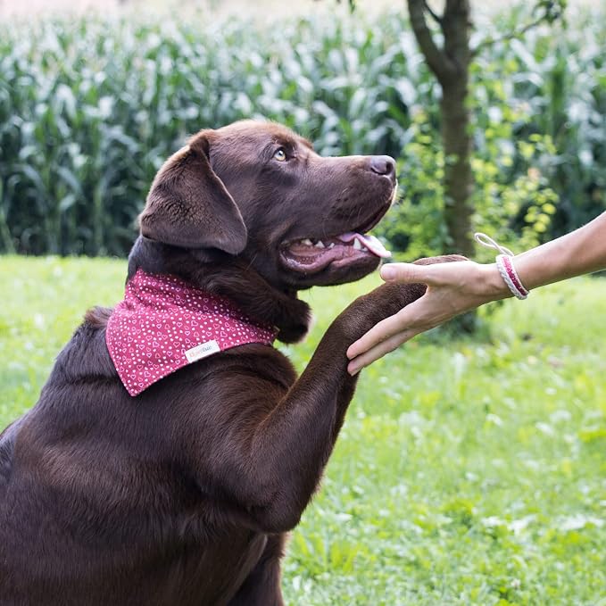 Pettsie Hemp Dog Bandana Collar & Matching Owner Friendship Bracelet | Soft & Durable Hemp, Removable Scarf, Matching Owner Friendship Bracelet, Gift-Ready Set