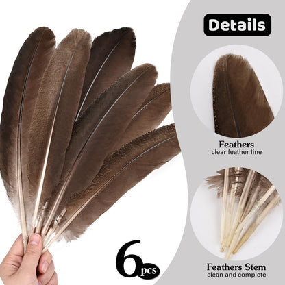 MehelloFeather Peacock Wing 11-14 Inch Natural Feather 6 Pcs Crafts for DIY Home Decoration Wedding Centerpieces Party Supplies