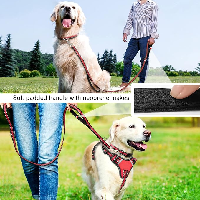 WINSEE Pet Harness Collar and Leash Set, All-in-one Reflective Dog Harness No Pull with Adjustable Buckles for Puppies, Small, Medium, Large, and Extra-Large Dogs (Medium, Red)