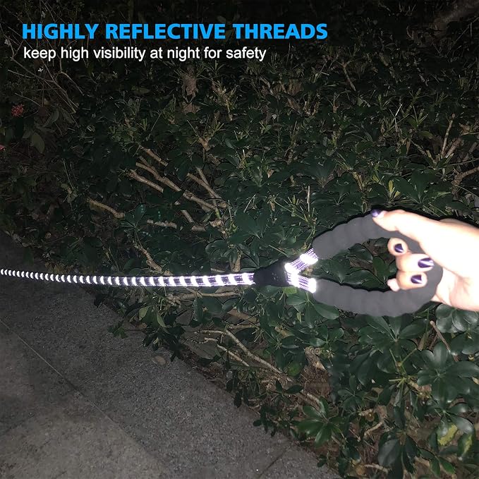 Ladoogo Reflective Dog Collar Padded with Soft Neoprene Breathable Adjustable Nylon Dog Collars for Small Medium Large Dogs (X-Small (Pack of 1), Purple Collar+Leash)