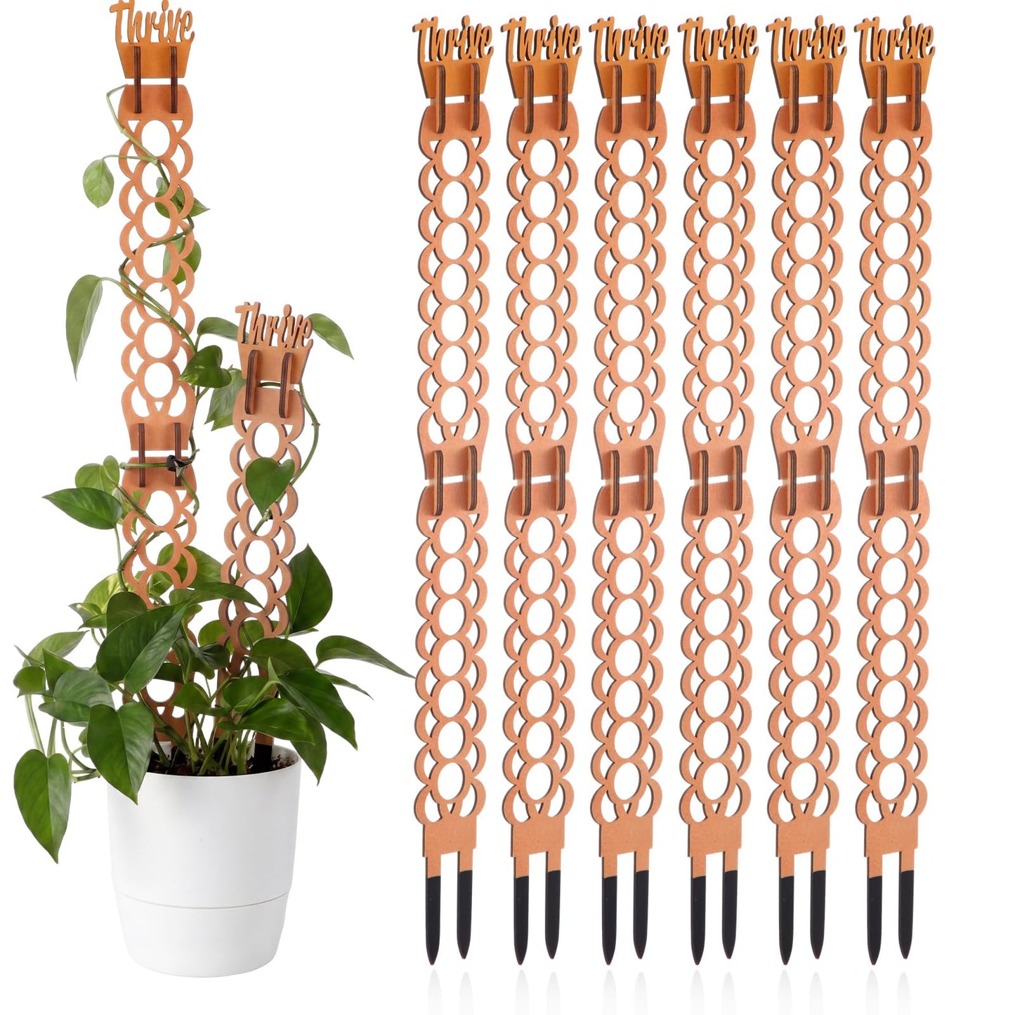 Otoolling 6 Sets Wooden Extendable Plants Trellis Indoor Modular Plant Trellis with Wood Thrive Sign Decor and Extensions for Outdoor Climbing Houseplants Vine Flower Stem (Ring)