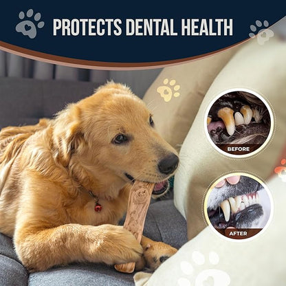 Coffee Wood Dog Chew and Natural Cotton Rope Toy for Regular Chewers - 100% Organic Wood Stick for Dog - Teeth Cleaning - Size L