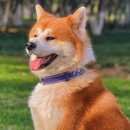 Genuine Leather Dog Collar, Heavy Duty Wide Dog Collar, for Small,Medium, Large and Extra Large Dog (XL: 1.4" Wide for 18.6"-25.8" Neck, Dual Stitch - Purple)