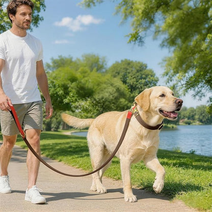Dog Collar and Leash Set with Metal Quick Release Buckle, Adjustable, Breathable Nylon, Durable, Soft and Comfortable, No Pull for Walking and Training, Brown, L (14.9"-22.8")