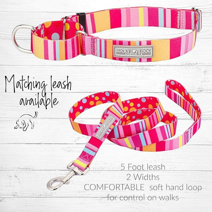 Lucky Love Dog Martingale Dog Collar & Leash - Adjustable, No-Slip, Durable, Comfortable, Soft Webbing, & Stylish Patterned Collar & Leash Set for Male and Female Dogs - Molly Combo, Medium
