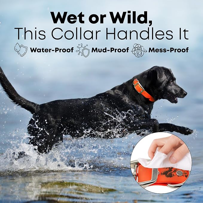 Regal Dog Products Large Orange Waterproof Dog Collar and Leash Set | Heavy Duty Double Buckle & D Ring - 5'ft Leash | Adjustable Biothane Dog Collar | Chew Resistant Waterproof Collar for Dogs