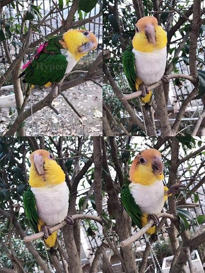 Adjustable Harness Leash for Birds 2Pack Nylon Anti-bite Outdoor Training Walking Control Rope for Parrot African Grey Cockatoo Macaw Ringneck Parakeet Cockatiel Reptile Lizard (Orange+Pink)