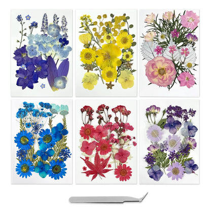 173pcs Dried Flowers for Crafts | Small Pressed Flowers & Real Dry Flowers for Resin | Dried Flowers for Candle Making Set
