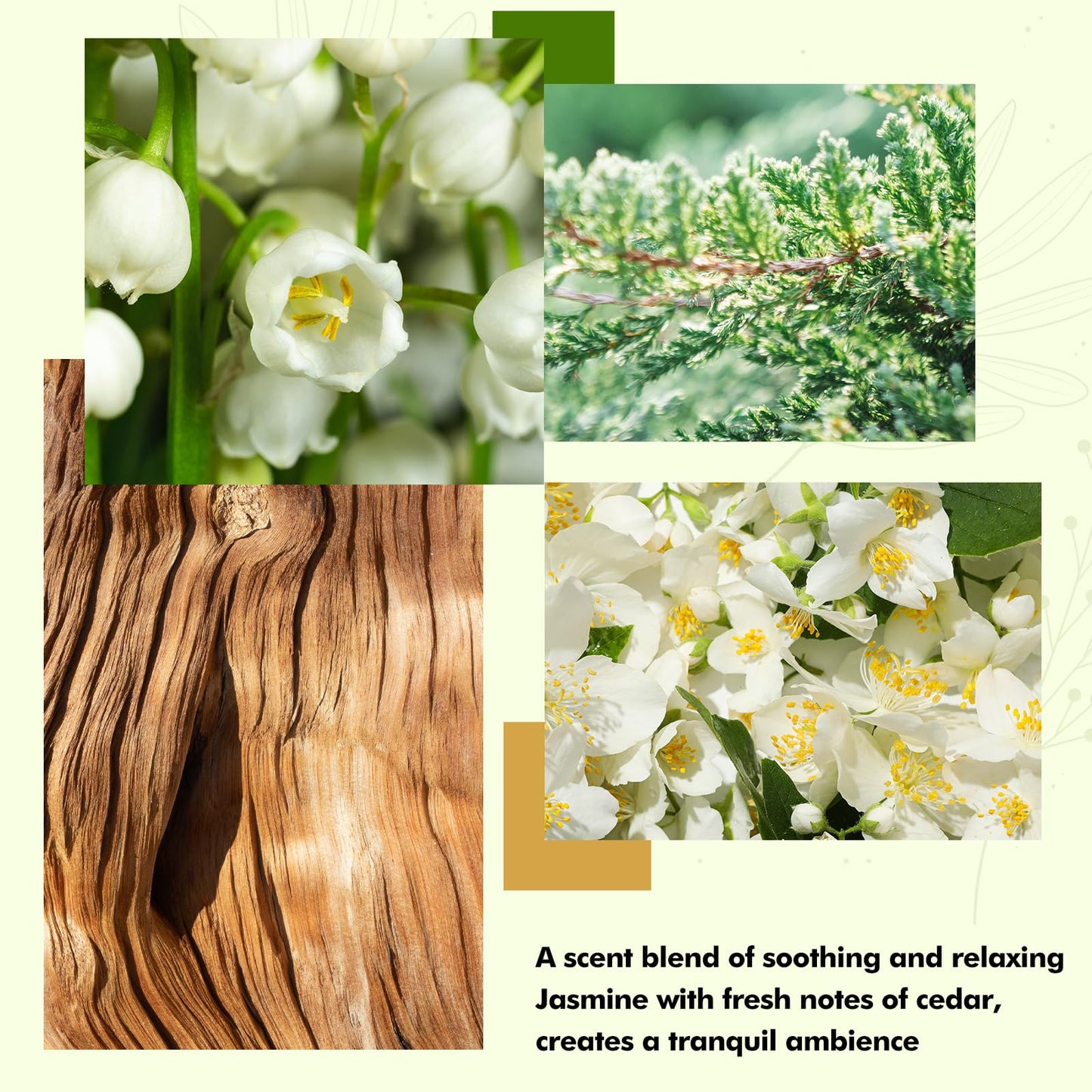 Reed Diffusers Set, 3.7 Oz Scent Diffuser, 6 Reed Diffuser Sticks, Home Fragrance Hyacinth, Peony & Citrus, Aromatherapy Oil Diffuser Reeds, More Masculine Scent, Bathroom & Office Decor 110ml