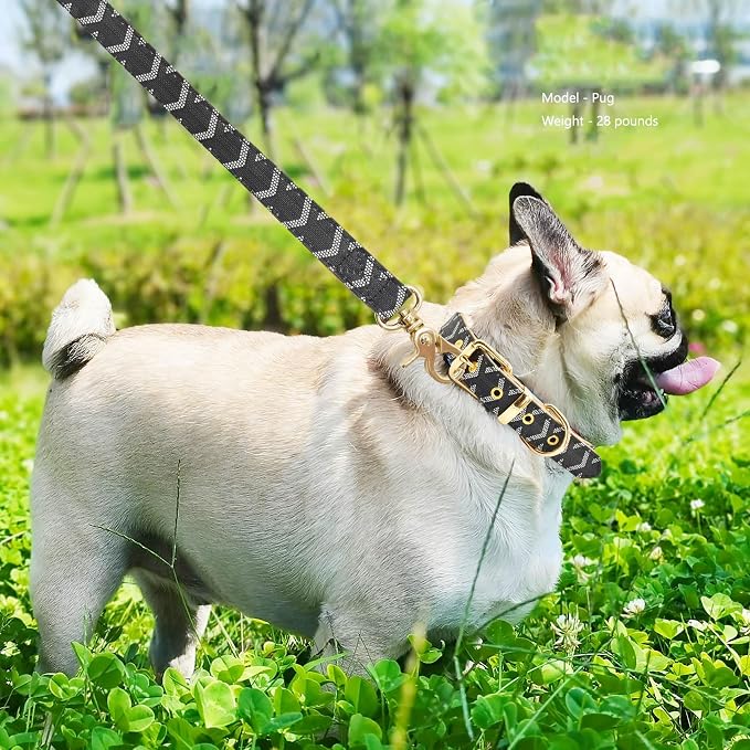 Leather Dog Collar and Leash Set, Check Pattern Dog Collar Leashes Metal Buckle Adjustable Durable for Small Medium Large Dogs (Black, S(11.4-13.4IN))
