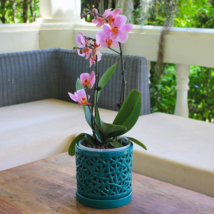 DESQUIGGLE Green Large Ceramic Orchid Pot with Holes, 6 Inches Wide, for Indoors or Outdoors with Woven String Cut Out Design, Orchid Planters, Orchid Gifts