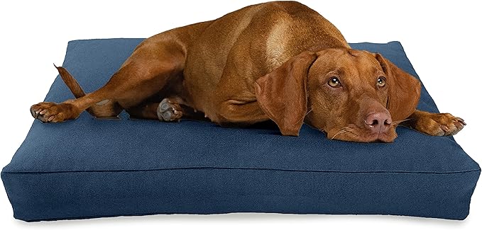 Small - 30 x 20 x 4 - Blueberry Premium Organic Hemp Dog Bed - CertiPUR Fill - Removeable Cover