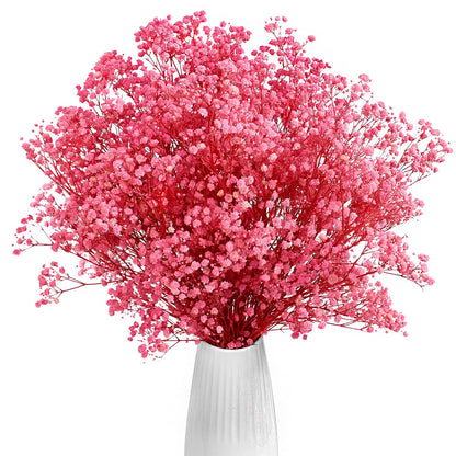 Gipizi Dried Baby's Breath Flowers Pink, 17inch Dried Natural Flowers Babys Breath Bulk with 3000 Buds, Real Dry Gypsophila for Wedding, Party, Wreath Floral DIY, Home Decor