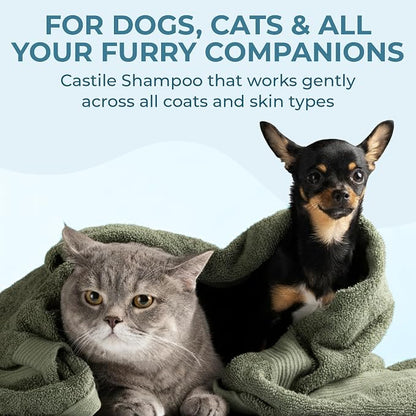 Dr. Jacobs Naturals Castile Pet Shampoo - Gentle Cat & Dog Wash with Pure Castile Soap - Plant-Based Dog Shampoo with Olive Oil, Coconut Oil, Shea Butter, Aloe Vera, Vitamin E - Ocean Breeze