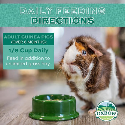 Oxbow Essentials Guinea Pig Food, Adult Guinea Pig, Made with Oxbow Timothy Hay, Pet Food Pellets with Vitamin C, Small Animal Pet Products, Made in USA, High Fiber, 10 lb. bag