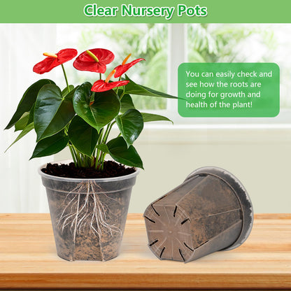 AUGXIXI 5 Set 7 Inch Transparent Plastic Garden Pots with Saucer - Planter with Drainage Hole for Indoor and Outdoor Plants - Includes 10 Plant Labels