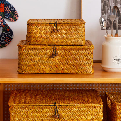 EugroVanth Wicker Storage Box with Lid, Handwoven Baskets for Storage, Rectangle Decorative Baskets Bins Container for Shelf Organizing Home, Set of 3, Natural