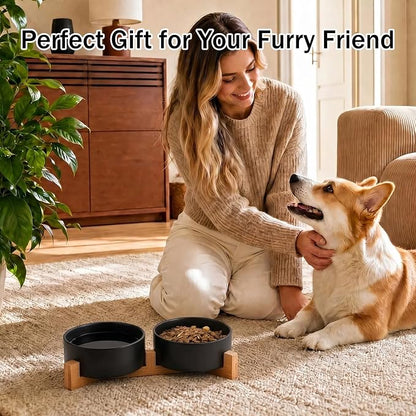 MateeyLife Ceramic Dog and Cat Bowls with Stand, 2-Pack Food and Water Bowl Set - Non-Slip Pet Bowls for Small & Medium Size Dogs，28.7OZ(Black)