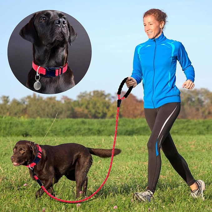 Ladoogo Reflective Dog Collar Padded with Soft Neoprene Breathable Adjustable Nylon Dog Collars for Small Medium Large Dogs (Large (Pack of 1), Red Collar+Leash)