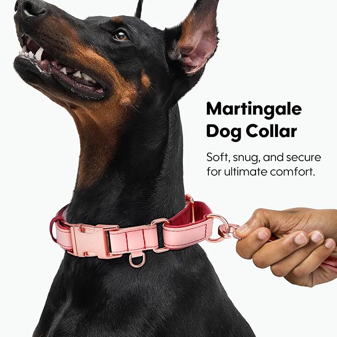 WHIPPY Vegan Leather Dog Collar No Slip Martingale Dog Collar with Quick Release Metal Buckle for Large Medium Small Dogs,Pink