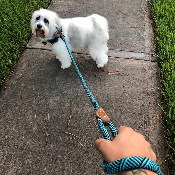 Mile High Life Rope Leash with Genuine Leather Connection, 6 FT/5 FT/4 FT, Heavy Duty Leash for Medium & Large Dogs (Turquoise Green, 72 Inch)