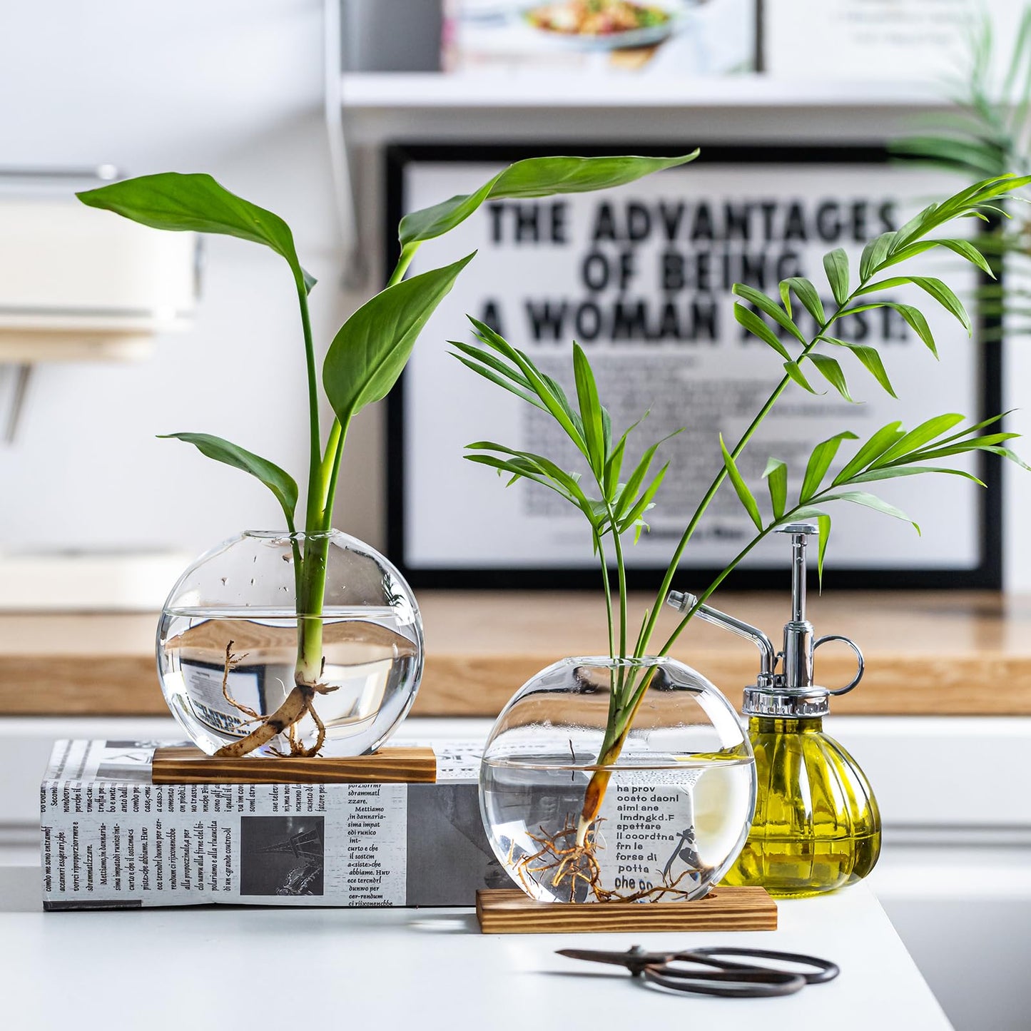 wangsdjy Glass Planter Propagation Station with Wooden Base - Clear Oblate Hydroponic Vase, Decorative Desktop Flower Vase for Home, Office, Windowsill - Gift for Plant Lovers (4)