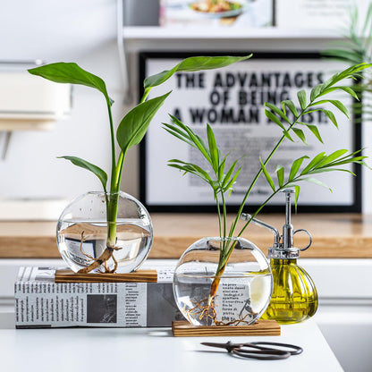wangsdjy Glass Planter Propagation Station with Wooden Base - Clear Oblate Hydroponic Vase, Decorative Desktop Flower Vase for Home, Office, Windowsill - Gift for Plant Lovers (6)