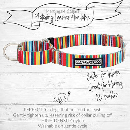 Lucky Love Dog Martingale Dog Collar & Leash - Adjustable, No-Slip, Durable, Comfortable, Soft Webbing, & Stylish Patterned Collar & Leash Set for Male and Female Dogs - Hippie Combo, Small