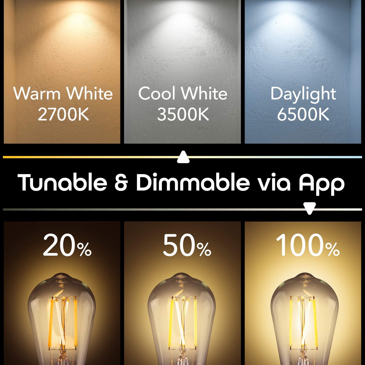 Geeni Smart Light Bulb - Alexa and Google Home Compatible, Tunable White LED Programmable and Dimmable WiFi Light Bulb, App Controlled (ST21, 2-Pack)
