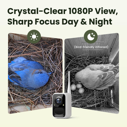 Birdfy Bird House with Camera Solar Powered with Metal Cladding for Outside, Bird Box with AI Bird ID, 1080P FHD & Night Vision for Bird Nest Watching, Auto Detect & Notify, Ideal Gift for Bird Lovers