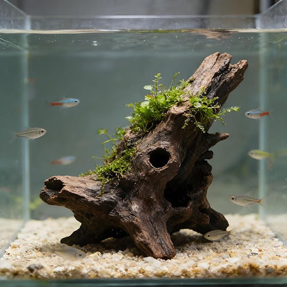 Natural Driftwood Tree Decoration for Aquarium, Fish Tank Plant Stump Ornament, Random Style(5-10cm)