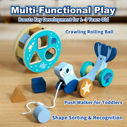 LOVELAND Wooden Seal Pull Along Toy, 3-in-1 Interactive Walker for Toddlers 1-3 with Rattle Ball & Shape Sorter, STEM Educational Push Pull Walking & Crawling Toy for Baby Boy Girl Birthday Gifts