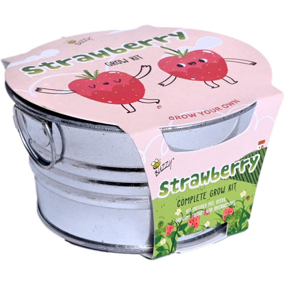 BUZZY Seeds Mini Basin Gardening Kit with Strawberry Seeds for Planting, Flowering Fruit Starter Set, Indoor Plants, DIY Plant Project, Party Favor